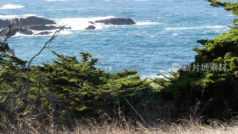 岩石海岸，海浪，柏树，17英里的车程，加州蒙特利