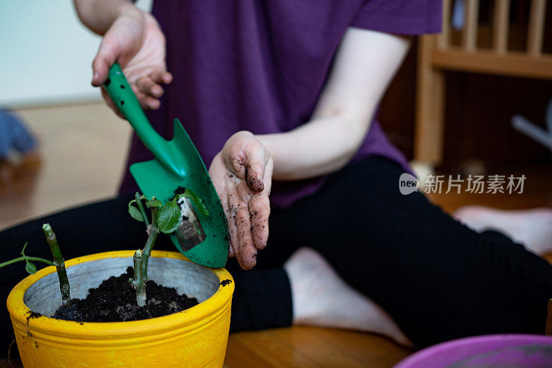 一个不认识的女人在盆栽室内植物