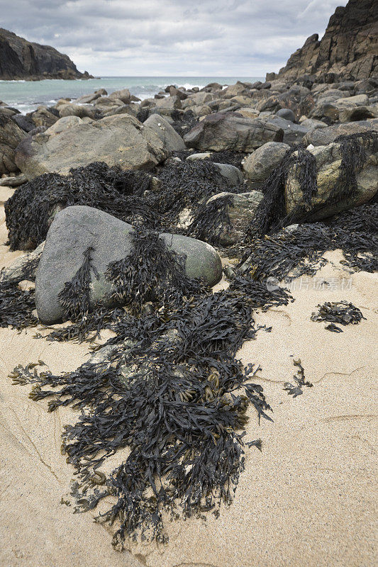 达尔贝格海滩，刘易斯岛