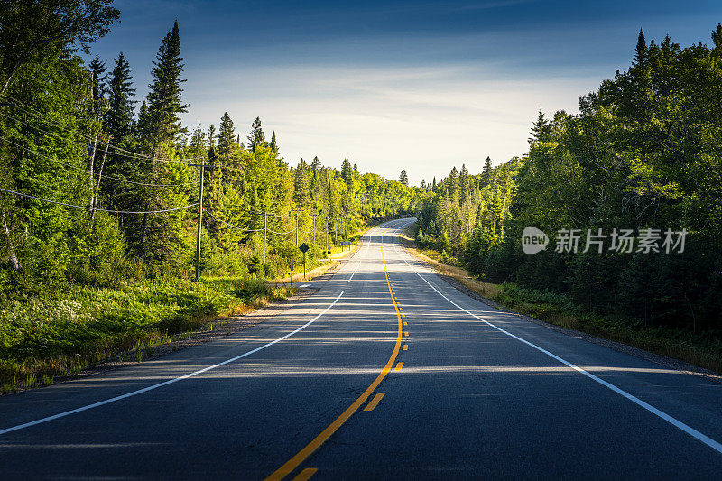 加拿大阿尔冈昆省立公园蜿蜒的道路