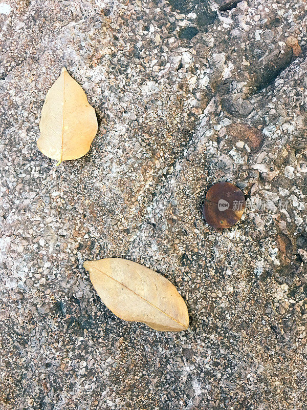 旧水泥路面上的枯叶在雨中翩翩起舞