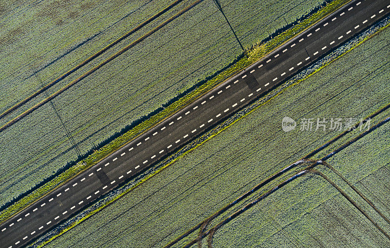 穿越农田的道路