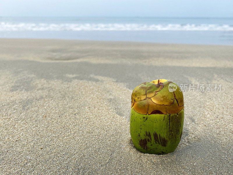 近距离图像绿色，未成熟的椰子被冲到沙滩上在退潮水的边缘，破碎的海浪冲刷海洋垃圾和岸上的污染，乱扔的沙子，肮脏的海滩，关注前景，复制空间