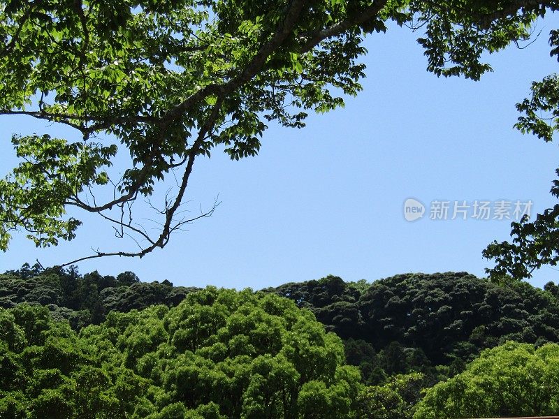 日本。五月青山蓝天。组成。