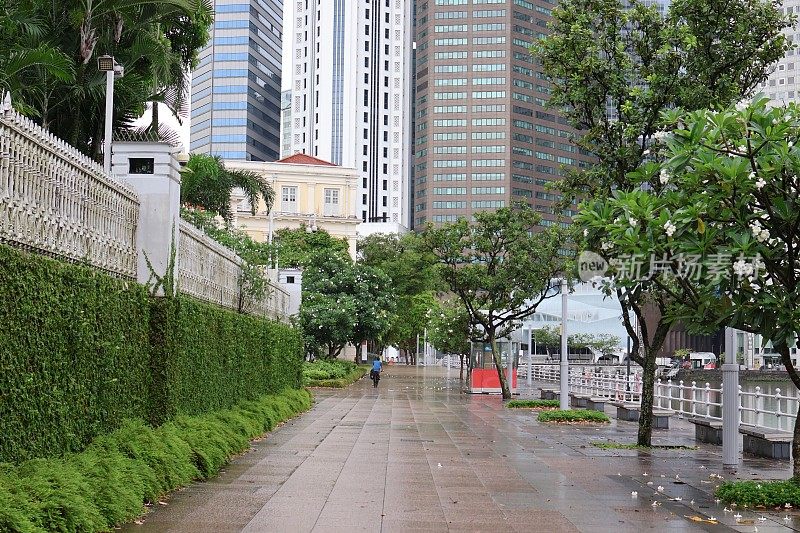 雨后的新加坡清晨街道