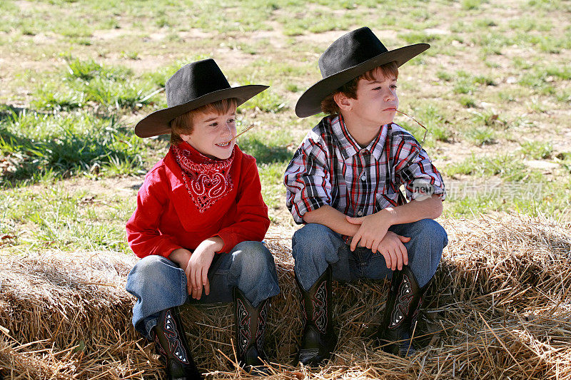 两个小男孩打扮成牛仔坐在木头上