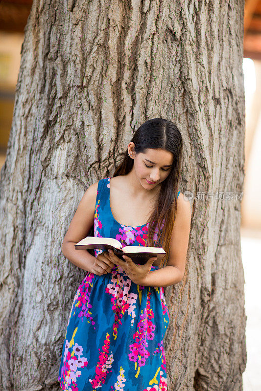 迷人的少女在读圣经