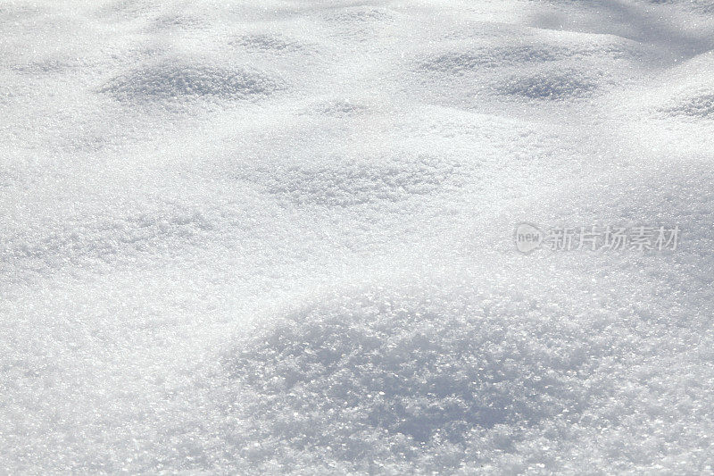 雪地里的肿块