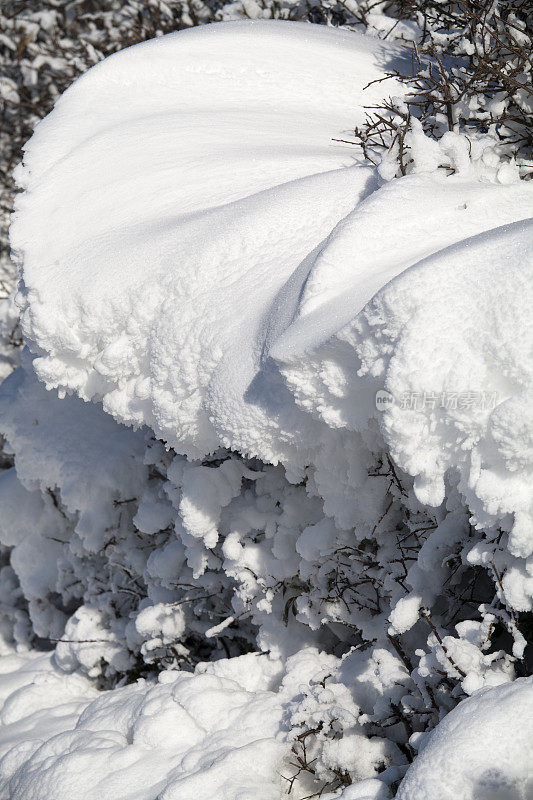 吹雪