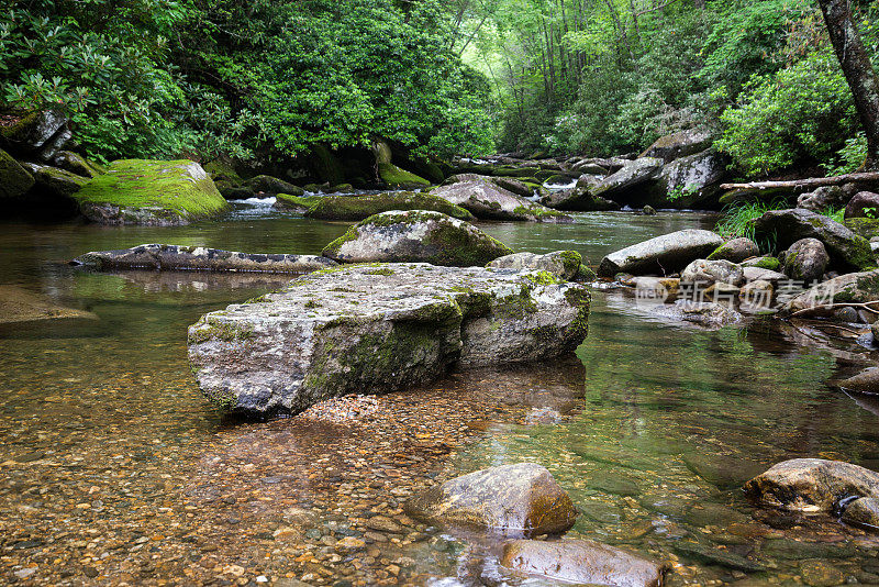 森林风景与小溪和巨石