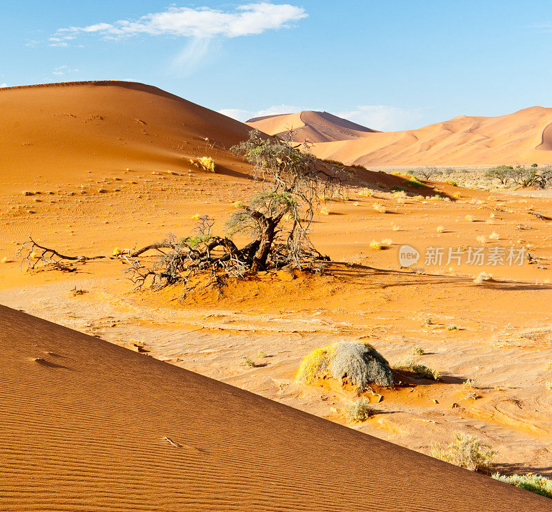 纳米布沙漠景观