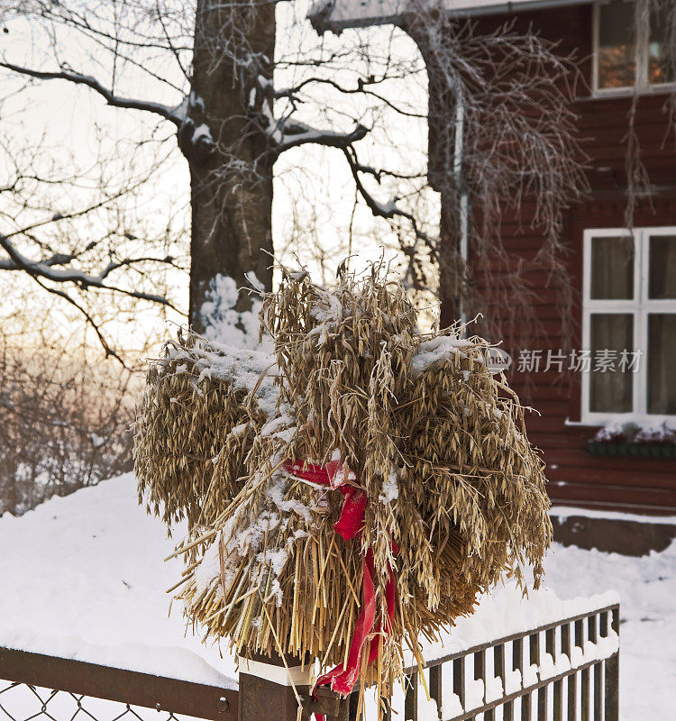圣诞一串串的谷粒为鸟儿在雪景中祈福。