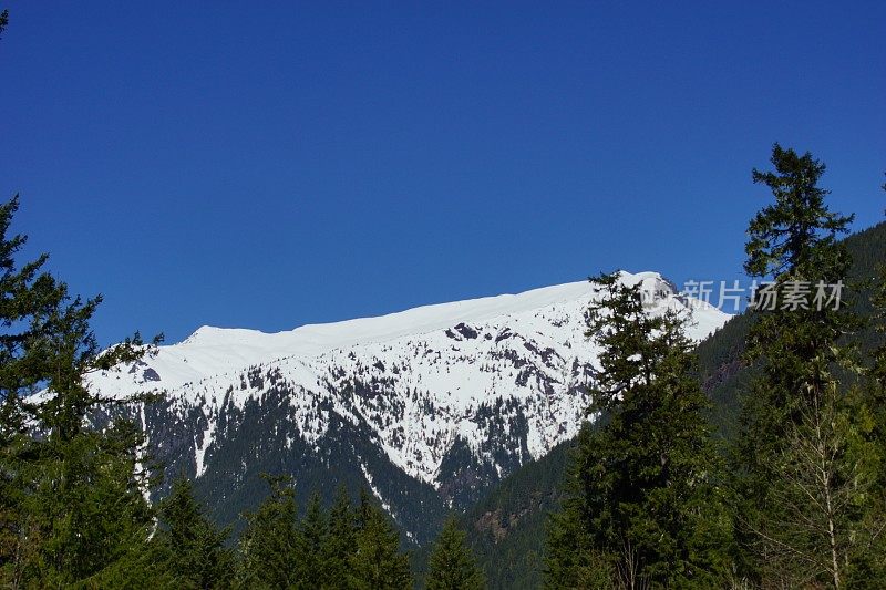 贝克森林峰