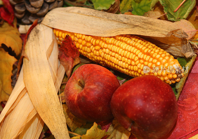 秋天有红苹果和黄玉米