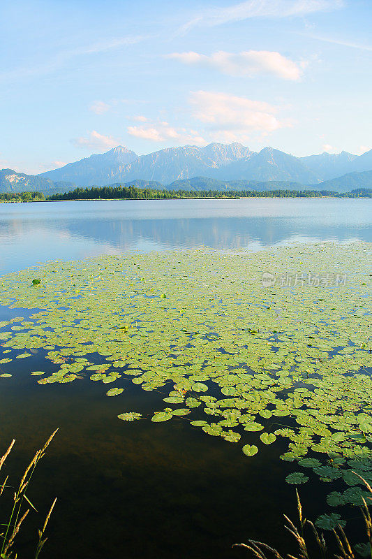 Hopfensee,巴伐利亚阿尔卑斯山脉