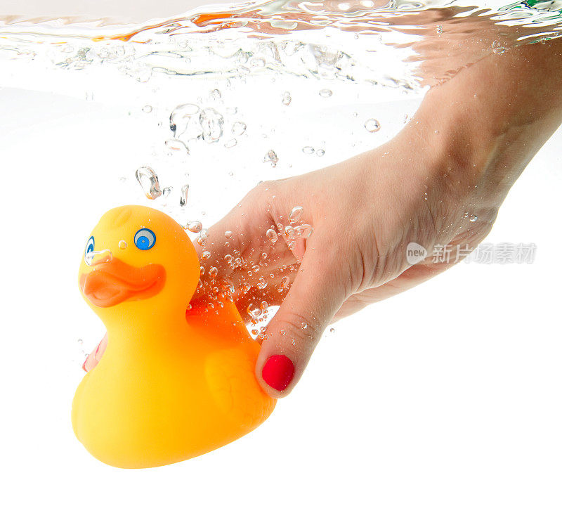 鸭子在水里