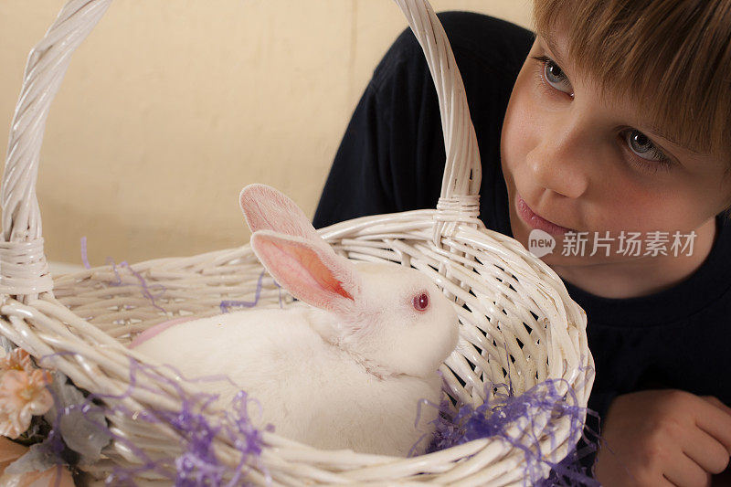 复活节:小男孩拿着复活节篮子，兔子。