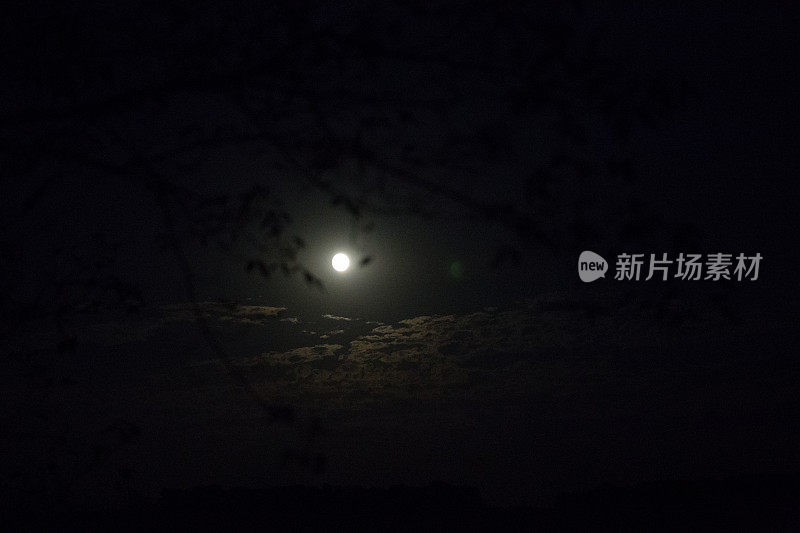 夜晚的满月