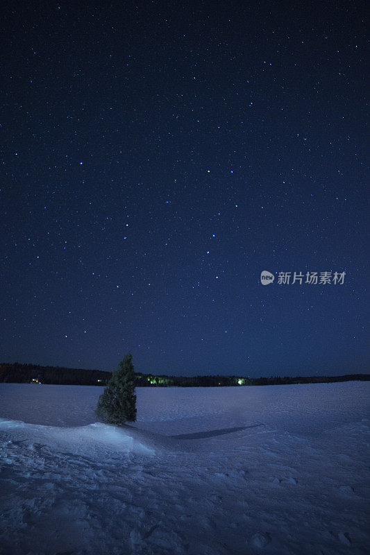 满天星斗，白雪皑皑的湖面，一棵松树