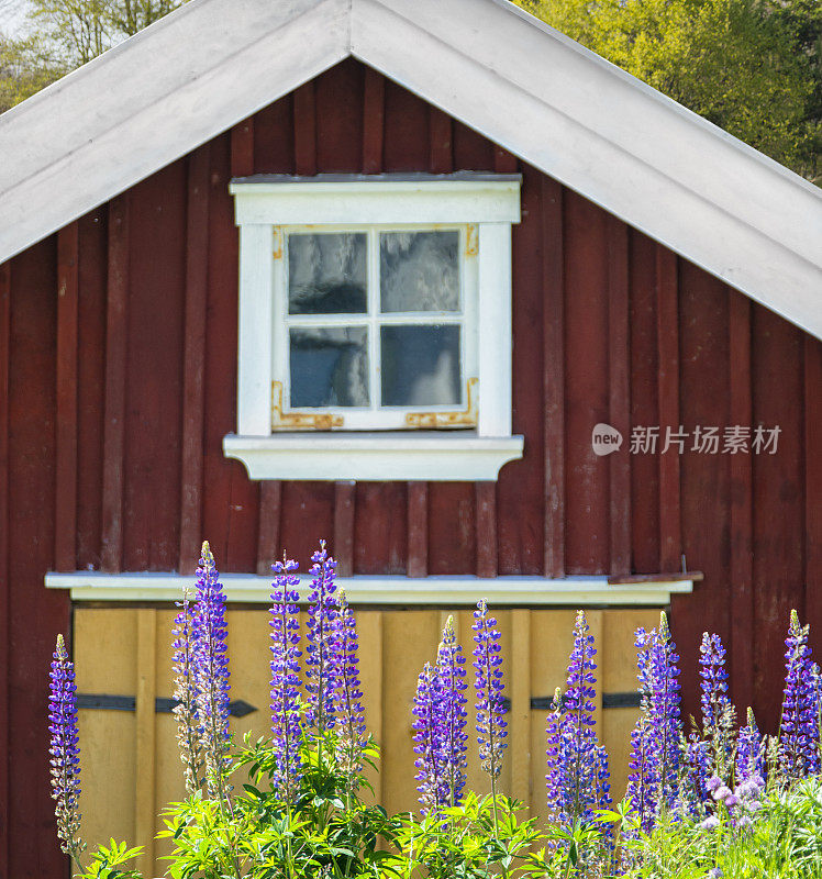 瑞典红小屋