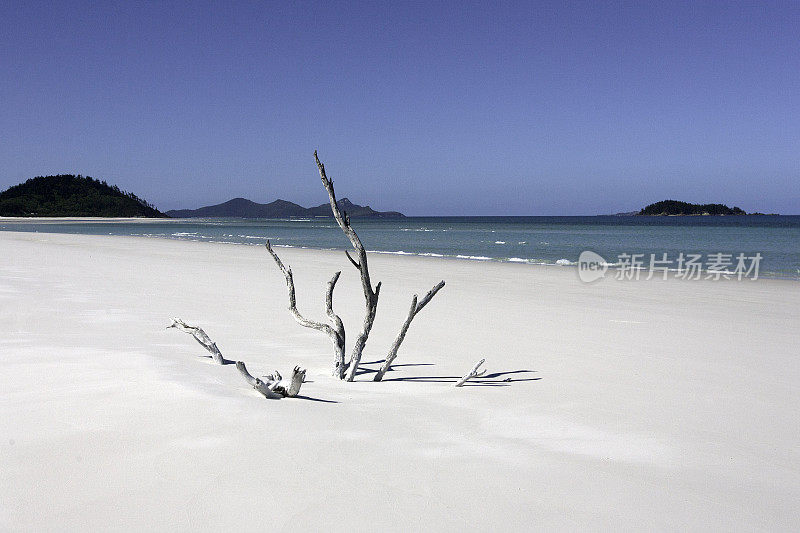 怀特黑文海滩，圣灵岛，澳大利亚昆士兰