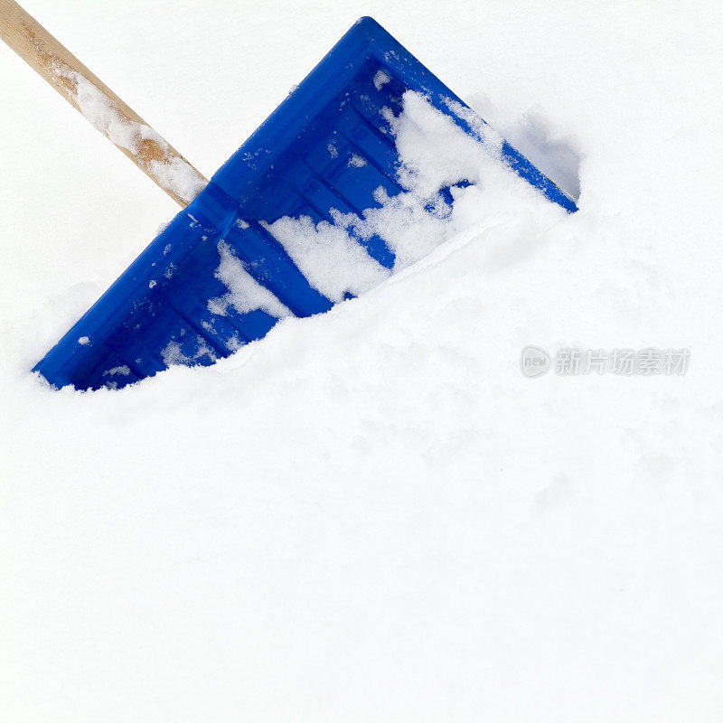 蓝雪铲