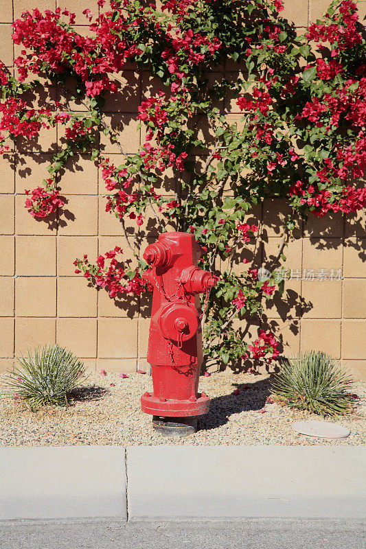 附近的红色消防栓