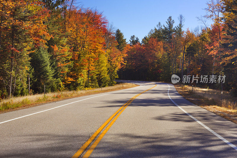 穿越秋叶的路，白山国家森林，NH，美国
