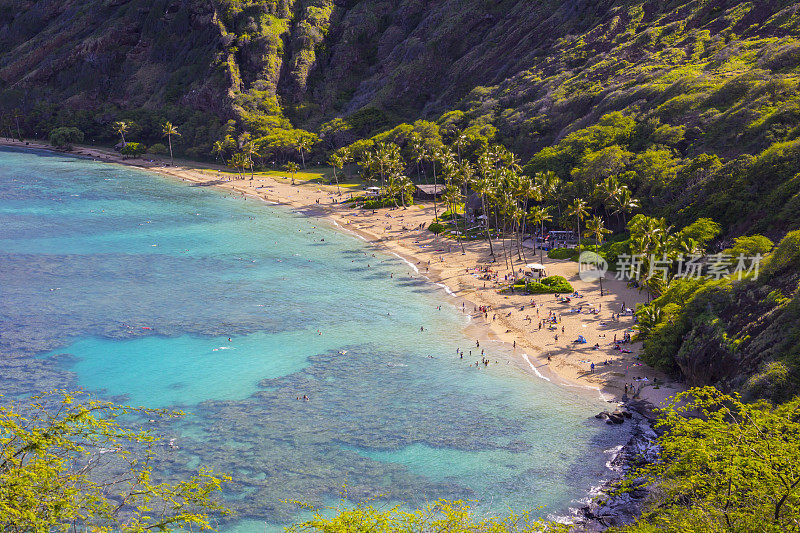 夏威夷瓦胡岛的哈瑙马湾，有海滩和广阔的珊瑚栖息地