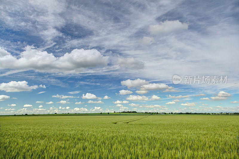 东盎格鲁风景，英国