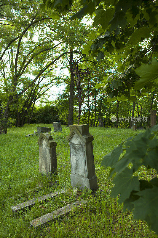 旧墓地里恋人的坟墓