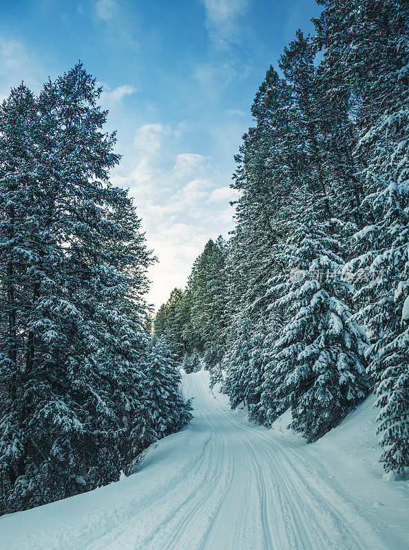 冬天的雪地小道