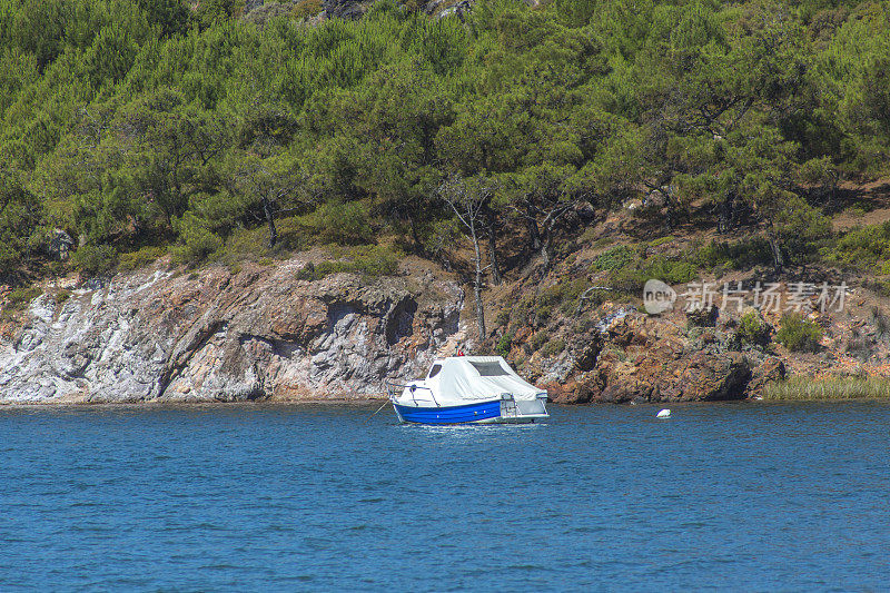 土耳其阿瓦利克巴利克西尔夏季镇海岸的摩托艇