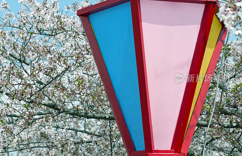 灯笼和樱花树在日本开花