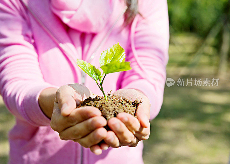 女人手里拿着一株小植物