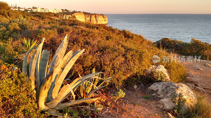地中海灌木植被徒步旅行小径悬崖峭壁葡萄牙的卡罗罗阿尔加维海岸