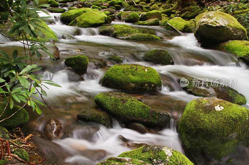 绿苔山溪烟山田纳西州