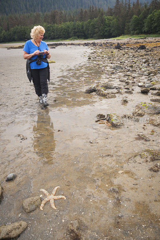 女人寻找海洋生物