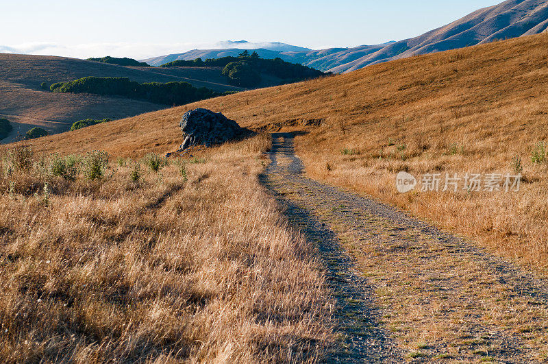 加州马林县附近的乡村公路和小山