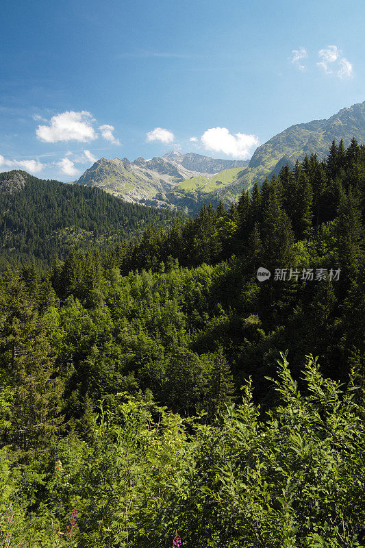 法国阿尔卑斯山的山脉景观