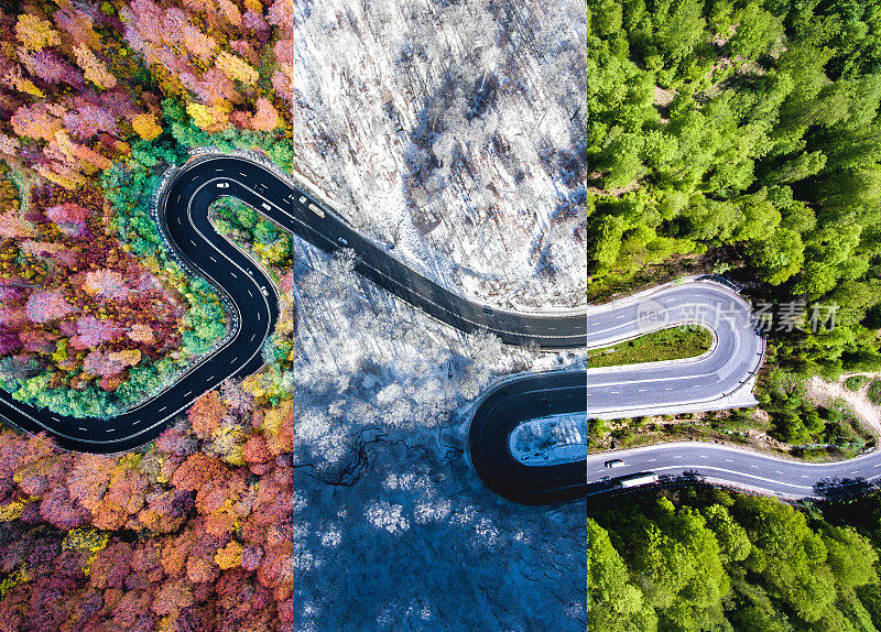 森林里蜿蜒的道路。秋、夏、冬时光拼贴。从无人机上俯瞰。