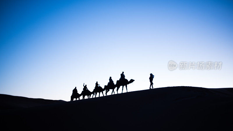 日落时分，摩洛哥东部沙漠中的骆驼观光剪影