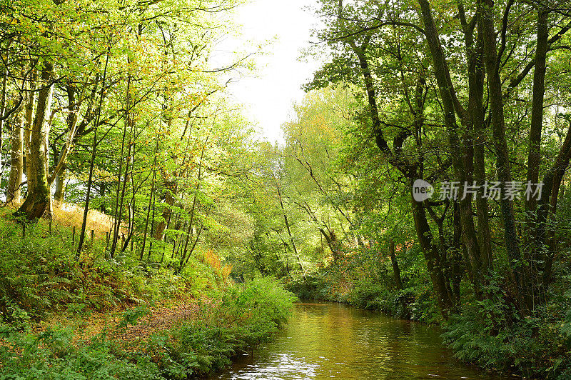 Narrow-boating在秋天