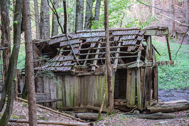 树林里的废弃小屋