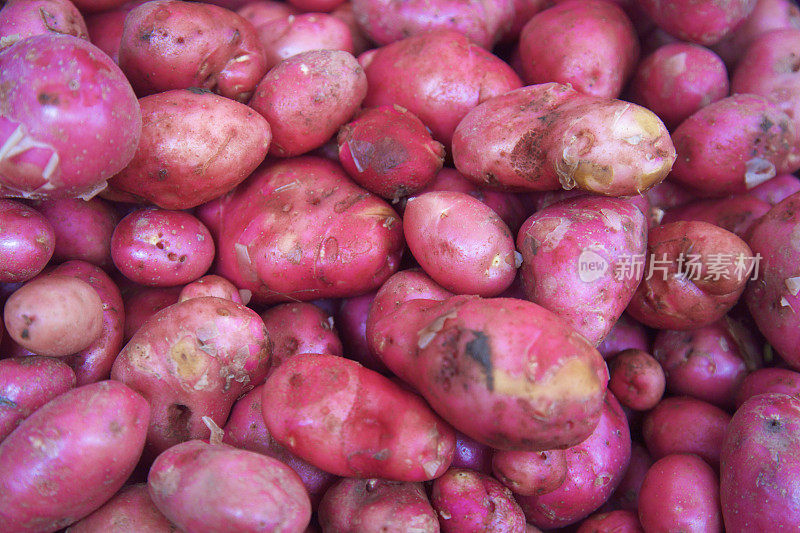 农贸市场上的红土豆