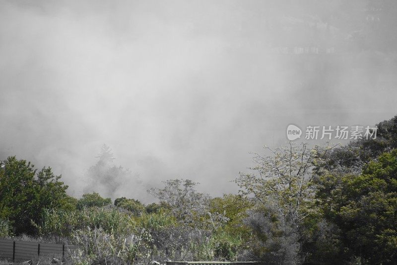 城市附近的田野着火了