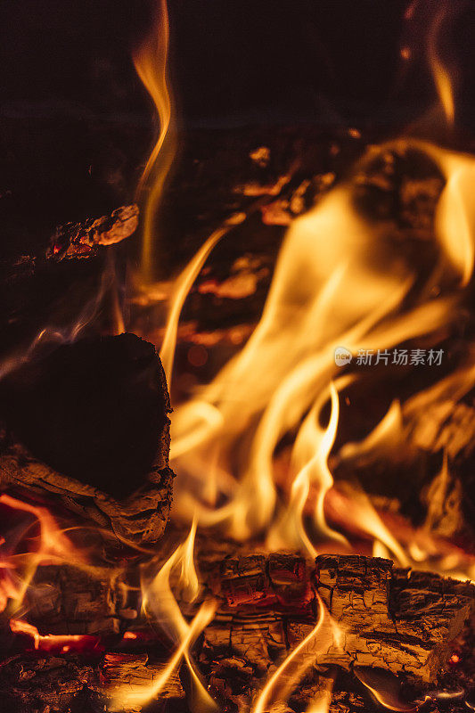木柴在篝火外燃烧的特写镜头
