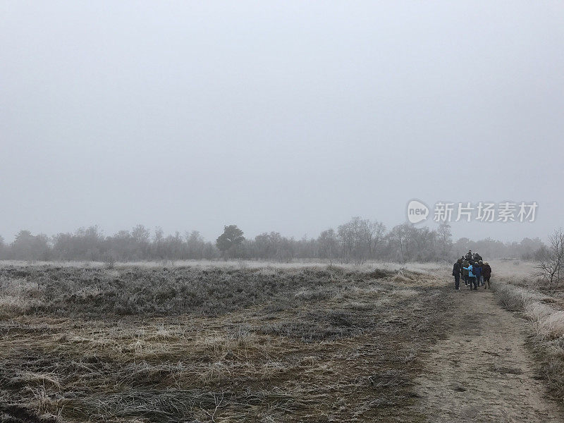 在冬天的沼泽地里散步