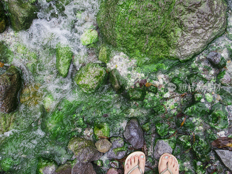 女人的脚踩在绿色的石头上。苔藓石在河纹理俯视图照片。