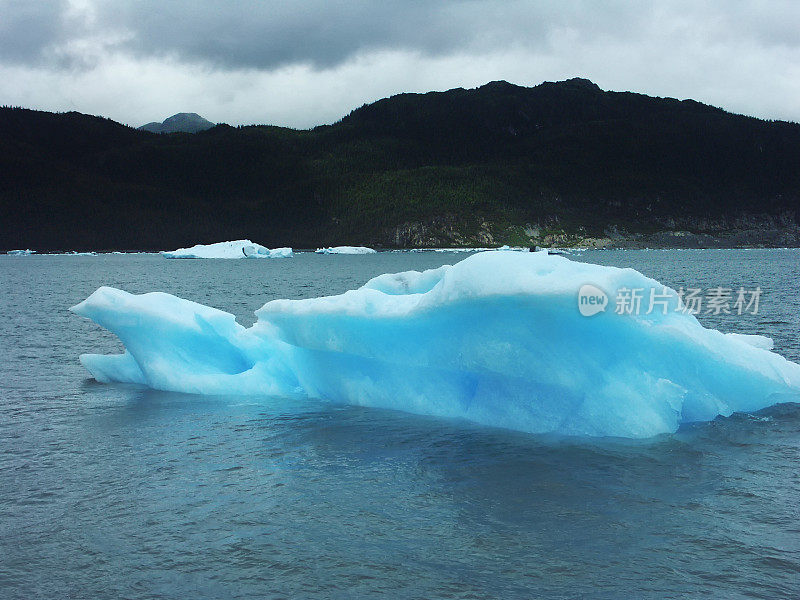 阿拉斯加威廉王子湾漂流的浮冰